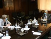 وزير الكهرباء يلتقى سفيرة فنلندا لبحث سبل دعم وتعزيز التعاون بين البلدين