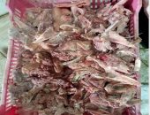 ضبط  2.5 طن لحوم غير صالحة للاستهلاك الآدمى في الإسكندرية
