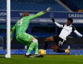 ايفرتون يسقط على يد فولهام في الدوري الإنجليزي