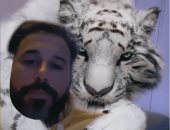 أحمد السعدني يحتضن "نمر" أبيض فى ظهور ساخر جديد.. فيديو وصور