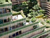 عندما تتنفس المبان.. تصميمات مدن المستقبل تجعل من البيوت كائنات حية بمشروع "Mitosis".. تجربة هولندية لدمج البيئة النباتية والحيوانية وإعادة التواصل مع الطبيعة.. واستخدام أخشاب تنقى المناخ من ثانى أكسيد الكربون
