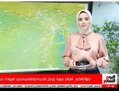 أمطار غزيرة ورياح شديدة فى جميع المحافظات بنشرة تليفزيون اليوم السابع