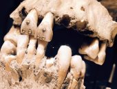 الإنسان عرف تجميل الأسنان منذ 14 ألف سنة.. تفاصيل