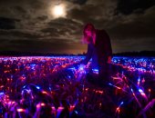 حقل هولندى يتوهج بأضواء راقصة مستوحاة من تكنولوجيا "علم الضوء" .. صور