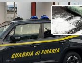 أوروبا تصبح أكبر سوق للكوكايين بدلا من الولايات المتحدة بسبب كورونا.. أكثر من 800 طن يصلون القارة العجوز شهريا.. والقيمة السوقية للمسحوق الأبيض فى لندن تبلغ مليار جنيه إسترلينى.. وإسبانيا بستان للماريجوانا