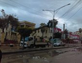 سقوط أعمدة إنارة وأشجار بكفر الشيخ دون وقوع إصابات لسوء الأحوال الجوية.. صور