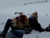 اليسا تستمتع بين الثلوج بصحبة كلبها تحت شعار "يا دنيا جنان بجنان".. صور