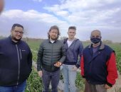 وفد روسى يزور مزارع الفراولة بالإسماعيلية.. صور