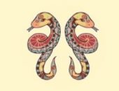 حظك اليوم الإثنين 22/2/2021 برج الجوزاء على الصعيد الصحي والمهني والعاطفي.. كن حذرًا