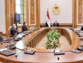 الرئيس السيسي يتابع محاور تطوير منظومة القطن المصرى واستصلاح أراضى توشكى.. ويوجه بتحقيق الهدف الاستراتيجى المنشود لإضافة مساحات جديدة من الرقعة الزراعية بمصر.. ومواصلة خطة النهوض بالقطن وعودته لسابق عهده عالميا