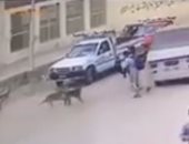 لحظة اصطدام ميكروباص بطالب خلال هروبه من مطاردة كلب بالبدرشين.. فيديو