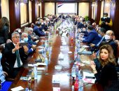 وزير الخارجية من "الأعلى للإعلام": الصحافة أداة مجتمعية لترشيد الفكر القومى