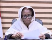 السودان يؤكد احترام المحكمة الجنائية الدولية ودورها