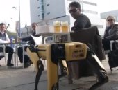 روبوت كلب يقدم المشروبات فى حانة بإشبيلية خوفا من عدوى كورونا.. فيديو