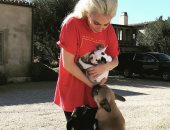 المغنية الأمريكية ليدى جاجا تستعيد كلبيها المسروقين