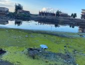 شكوى من تراكم مياه الأمطار أمام وحدة محلية بكفر الشيخ.. ورئيس المدينة يرد