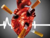 5 عادات خاطئة تدمر القلب أبرزها التدخين والضغوط النفسية