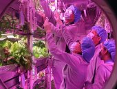 طلاب صينيون يقضون عاما فى زراعة الطعام وتوليد الأكسجين فى بيئة محاكاة للقمر
