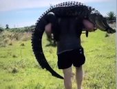 لاعب كرة قدم أمريكى يحمل تمساح طوله 3 أمتار بعد اصطياده فى فلوريدا.. فيديو وصور