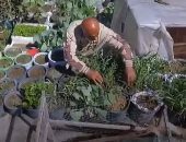 لتلبية متطلبات أسرته الغذائية.. تيسير يحول سطح منزله لحديقة زراعية.. فيديو