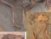 دراسة حديثة: أقدم مقبرة للحيوانات الأليفة موجودة فى مصر .. اعرف التفاصيل