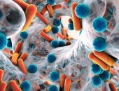ما هو مرض الدفتيريا وكيف يطور نفسه لمقاومة المضادات الحيوية؟