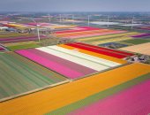 "جمال من السماء".. 10 صور لمدن هولندية من طائرة بدون طيار