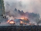 صور.. حرائق الغابات تجتاح غابات الأرجنتين وإجلاء العشرات