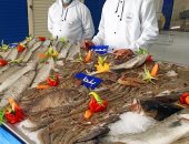 أسماك غليون من منتجات بلدنا.. أعادت أنواع مندثرة للسوق المصرى ..صور وفيديو