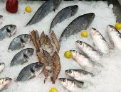 "جردل الفسفور" فى السويس عشق أهالى عروس البحر الأحمر.. فيديو