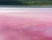 مشاهد جذابة لمياه بحيرة Hutt Lagoon الأسترالية باللون الوردى.. اعرف السبب "صور"