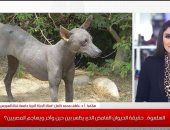 لا يوجد حيوان اسمه "السلعوة" .. تغطية خاصة من "تليفزيون اليوم السابع"