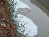 لجنة من البيئة بالغربية تعاين الرغاوى البيضاء بسطح المياه بمحطة الخلط بكفر ديما