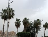 نشاط للرياح المحملة بالأتربة وارتفاع درجات الحرارة فى الدقهلية.. فيديو وصور