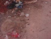 أهالى قرية نجع عبد الرءوف بالإسكندرية يطالبون رفع القمامة.. والشركة ترد