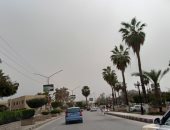 رياح على مدن كفر الشيخ واستمرار توقف الملاحة بميناء الصيد بالبرلس.. فيديو وصور