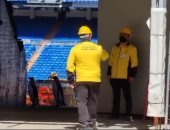 طيور البطريق تظهر في ملعب سانتياجو برنابيو.. فيديو