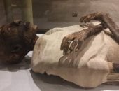 خبيرة ترميم تكشف أسرار المومياوات الملكية الـ22 المنقولة لمتحف الحضارة.. صور