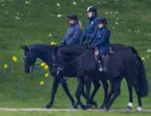 الأمير أندرو يستمتع بركوب الخيل فى آخر ظهور له فى قلعة وندسور.. صور