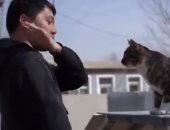 جندى متقاعد يدرب قطته على مهام القوات الخاصة وقفز الحواجز.. فيديو وصور