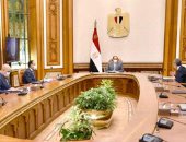 الرئيس يوجه بإيلاء أهمية لـ"الأمن السيبراني" للبنية التحتية المعلوماتية بالعاصمة الإدارية