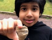 الصدفة تقود طفل بريطاني للعثور على قطعة مرجان عمرها 488 مليون عام .. صور