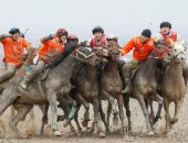 المصارعة على ظهر الحصان.. سباقات "الكوك بورو" من لعة تقليدية لمنافسات دولية
