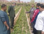 جامعة بنها تنظم قافلة زراعية بقرية الدير لتوعية مزارعى الفراولة للحفاظ على المحصول