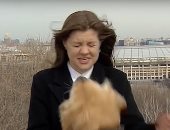 كلب يسرق ميكروفون مذيعة أثناء بث مباشر لتقرير الطقس فى موسكو.. فيديو وصور