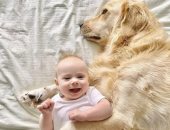 صداقة مميزة بين كلب وطفلة صغيرة تجعلهما نجوما عبر انستجرام.. صور