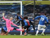 كريستال بالاس يخطف تعادلا قاتلا من إيفرتون بالدوري الإنجليزي.. فيديو