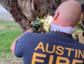 رجال إطفاء ينقذون سنجابا صغيرا علق فى شجرة بغابات تكساس.. فيديو وصور