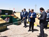 الرئيس السيسى يتفقد "مستقبل مصر" للإنتاج الزراعى بالصحراء الغربية
