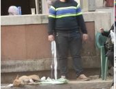 بطل صورة علاج كلب الشارع: رحلة إنقاذه استغرقت 9 ساعات ودى مش أول مرة